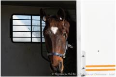 b17