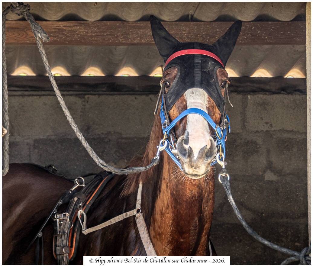 Hippodrome Espace Bel Air